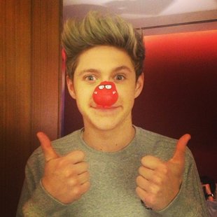 Niall Horan 5