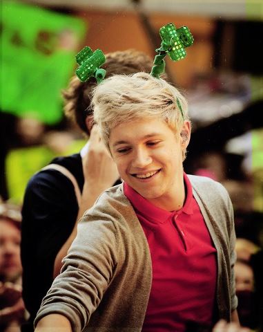 Niall Horan 8