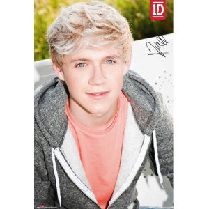 Niall Horan 12
