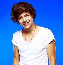 Harry Styles 1