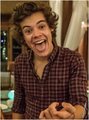 Harry Styles 8