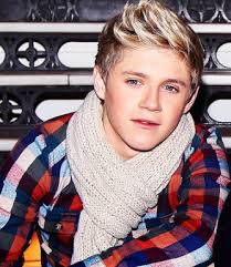 Niall Horan 2