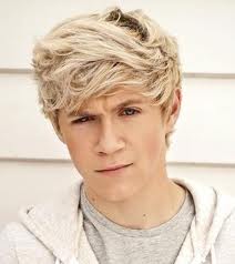 Niall Horan 3